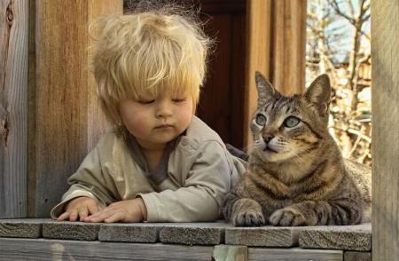 ALLE MON BEBY