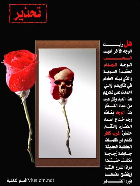 TA7DIR